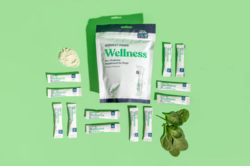 The Essential Role of Supplements in Women’s Health