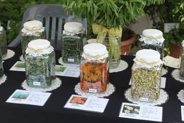 Herbal Supplements for Stress Relief and Mental Clarity