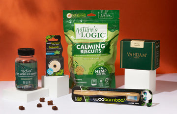 Natural Digestive Health Solutions for Women's Wellness