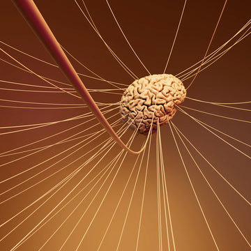 Adaptogenic Supplements for Stress Relief and Enhanced Focus
