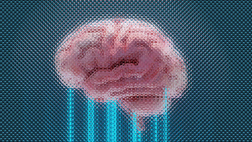 Cognitive Support Supplements for Enhanced Mental Clarity