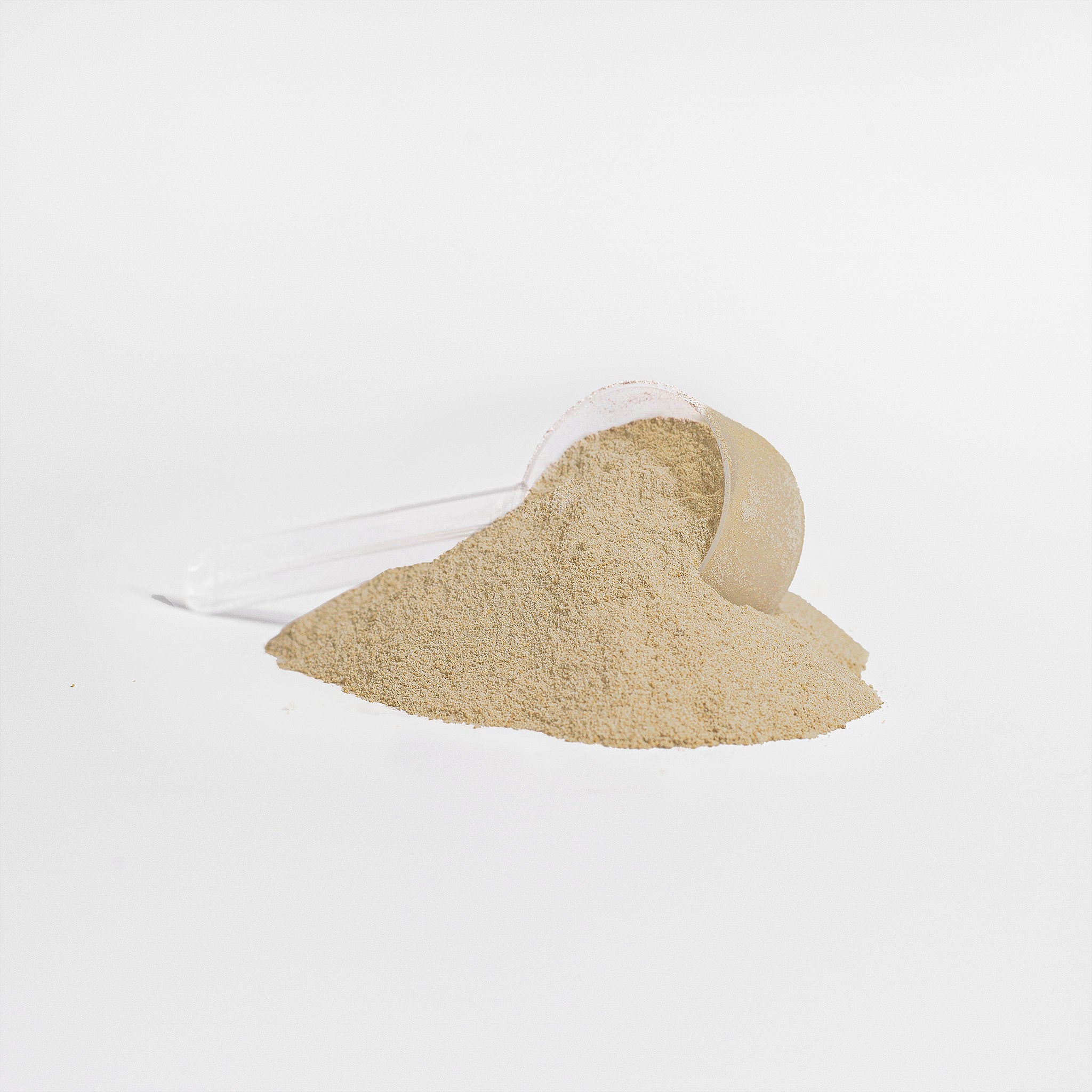 Her Daily Ritual Plant Protein (Vanilla) – Vegan Protein Powder for Muscle Recovery & Wellness